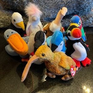 Beanie Baby Birds - Rare Lot of 9 Mint with Tags
